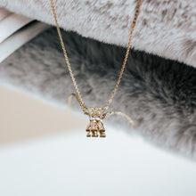 Load image into Gallery viewer, WM necklace | gold